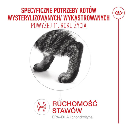 Royal Canin Ageing Sterilised 11+ Karma Sucha 4kg Dla Kotów Dojrzałych Po Sterylizacji Powyżej 11 Roku Życia