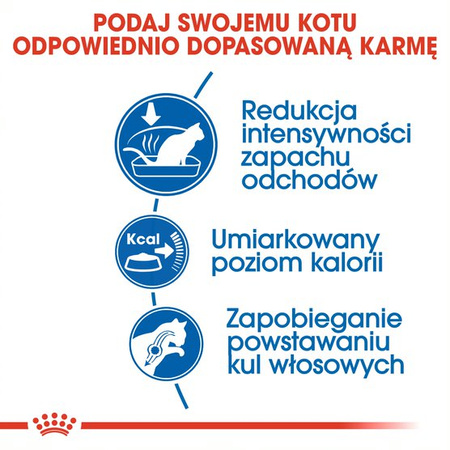 Royal Canin Indoor 27 Adult 10kg Sucha Karma Dla Dorosłych Kotów Niewychodzących