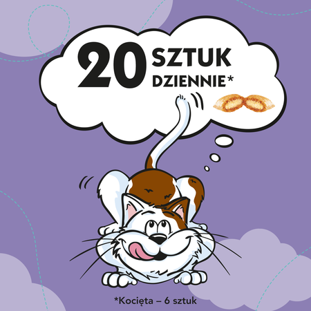 Dreamies z Wyśmienitą Kaczką 6x60g (360g) Przysmaki dla kota