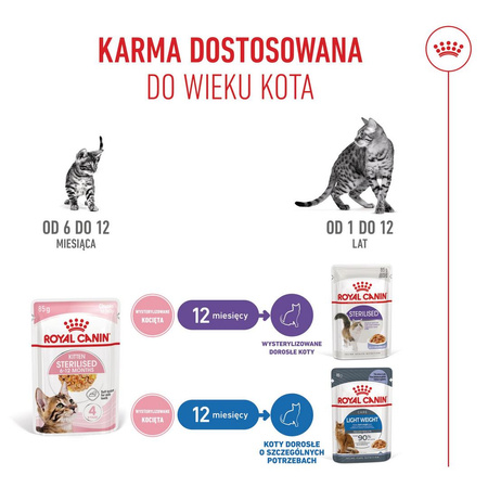 Royal Canin FHN Kitten Sterilised W Galaretce 12x85g Karma Mokra Dla Kociąt Sterylizowanych Do 12 Miesiąca Życia