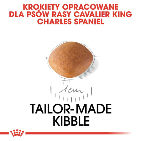 Royal Canin BHN Cavalier King Charles Spaniel Puppy 1,5kg Karma Sucha Dla Szczeniąt Do 10 Miesiąca Rasy Cavalier King Charles Spaniel