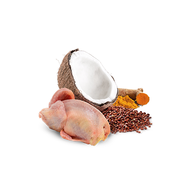 Farmina N&D Cat Quinoa Skin & Coat Quail & Coconut 80g Mokra Karma Dla Kota Przepiórka Z Kokosem Na Skórę I Sierść