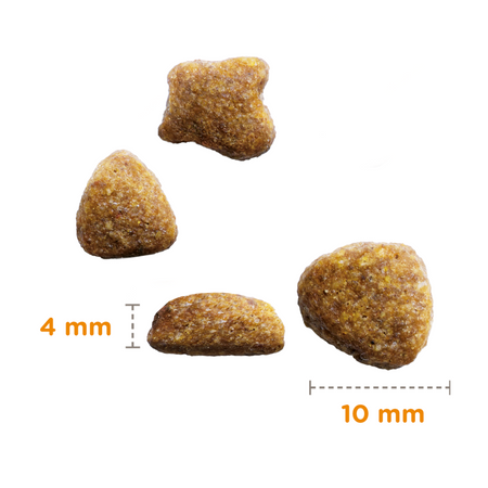 Sucha Karma Iams for Vitality Dla Starszych Kotów Ze Świeżym Kurczakiem 1,5kg