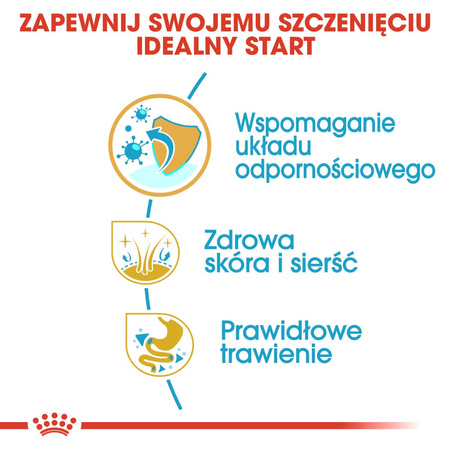 Royal Canin BHN Golden Retriever Puppy 3kg Karma Sucha Dla Szczeniąt Do 15 Miesiąca Rasy Golden Retriever