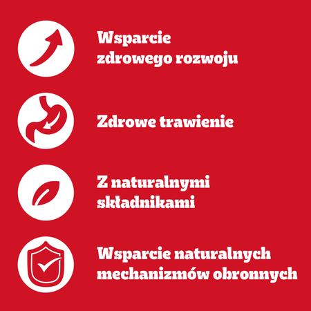 PEDIGREE Junior 24x400g z Kurczakiem w galaretce Zdrowy Start dla szczeniąt 1-12 miesięcy