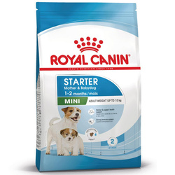 Royal Canin Mini Starter Mother & Babydog 4kg Karma Sucha Dla Suk W Ciąży I Okresie Laktacji Oraz Szczeniąt Ras Małych