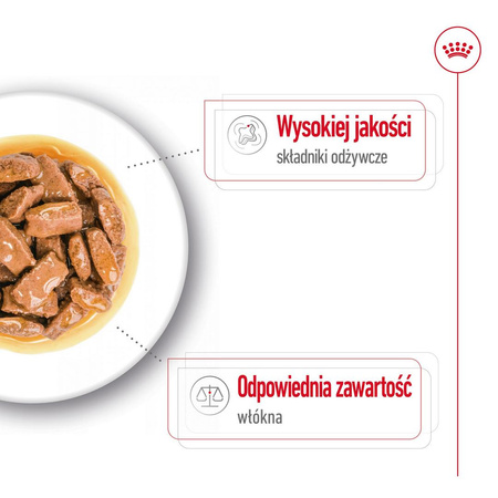 Royal Canin Maxi Adult 10x140g Karma Mokra W Sosie Dla Psów Dorosłych Ras Dużych