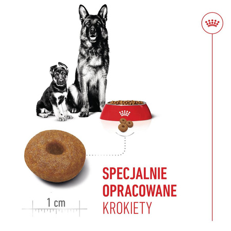 Royal Canin Maxi Starter Mother & Babydog 4kg Karma Sucha Dla Suk W Ciąży I Okresie Laktacji Oraz Szczeniąt Ras Dużych