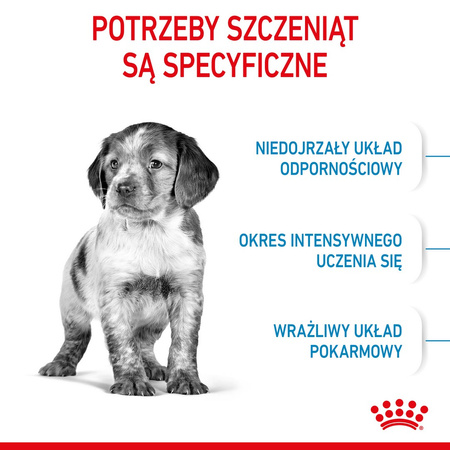Royal Canin Shn Medium Puppy 2x4kg Karma Sucha Dla Szczeniąt Od 2 Do 12 Miesiąca Ras Średnich
