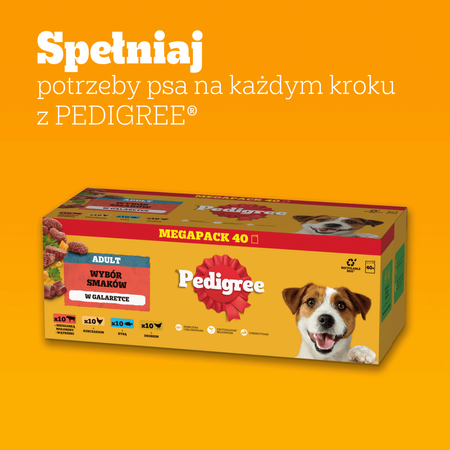 PEDIGREE Vital Protection w Galaretce 40x100g saszetki Karma mokra dla psa