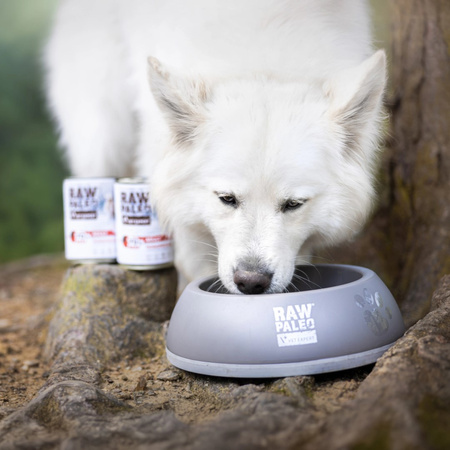 Vet Expert Raw Paleo Adult Monoprotein 400g Mokra Karma Dla Psa z Wołowiną