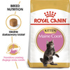 Royal Canin FBN Maine Coon Kitten 2kg Karma Sucha Dla Kociąt Do 15 Miesiąca Rasy Maine Coon