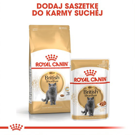 ROYAL CANIN British Shorthair 4kg karma sucha dla kotów dorosłych rasy brytyjski krótkowłosy