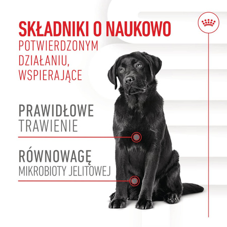 Royal Canin Supplements Dog Digestion Adult 160g Suplementy Dla Psów Dorosłych W Postaci Przysmaków Wspierające Prawidłowe Trawienie