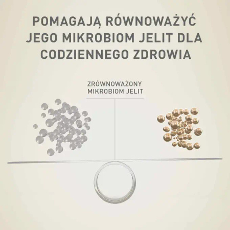 Purina ONE Mini Sensitive z Łososiem i Ryżem 1,5kg Sucha Karma Dla Psów Małych Ras