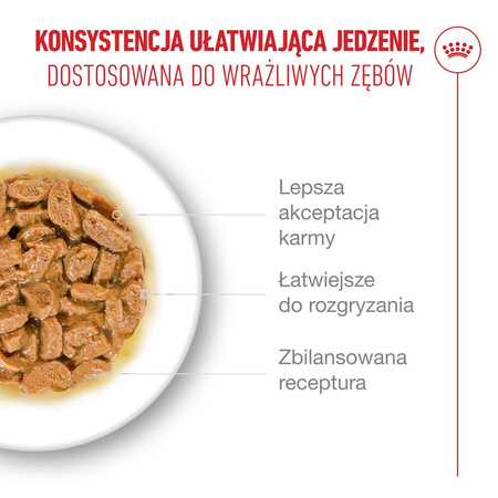 Royal Canin Ageing 15+ Karma Mokra 85g Kawałki w Sosie Dla Kotów Dojrzałych Po 15 Roku Życia
