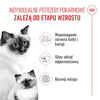Royal Canin Mother&Babycat 4kg Karma Sucha Dla Kotek W Okresie Ciąży Laktacji i Kociąt Od 1 Do 4 Miesiąca Życia