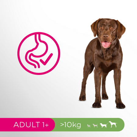 Perfect Fit 6kg Sucha Karma Pełnoporcjowa Dla Dorosłych Psów Średnich I Dużych Ras Kurczak