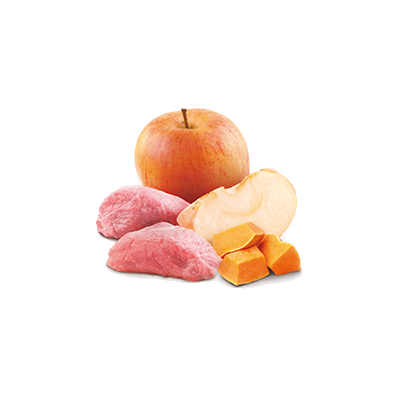 Farmina N&D Cat Boar & Pumpkin & Apple 70g Mokra Karma Dla Kota Dzik z Dynią i Jabłkiem
