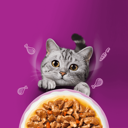 Whiskas Aromatic Adult 40x85g Mokra Karma Dla Kotów Aromatyczna Mieszanka W Sosie