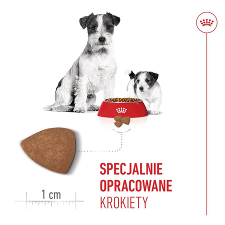 Royal Canin Mini Starter Mother & Babydog 8kg Karma Sucha Dla Suk W Ciąży I Okresie Laktacji Oraz Szczeniąt Ras Małych