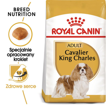 Royal Canin BHN Cavalier King Charles Spaniel Adult 1,5kg Karma Sucha Dla Psów Dorosłych Rasy Cavalier King Charles Spaniel