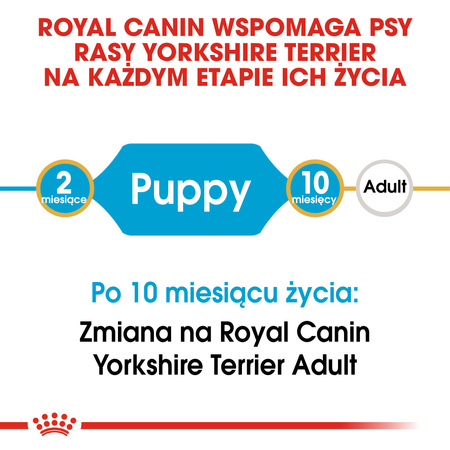 ROYAL CANIN Breed Health Nutrition PUPPY YORKSHIRE TERRIER 1.5kg sucha karma dla szczeniąt yorka