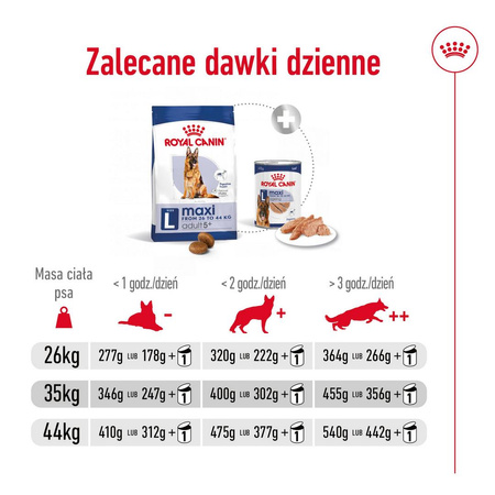 Royal Canin SHN Maxi Adult 5+ 15kg Karma Sucha Dla Psów Dojrzałych Od 5 Do 8 Roku Życia Ras Dużych