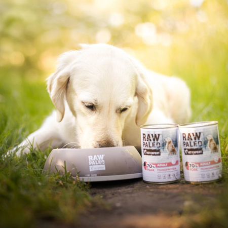 Raw Paleo Adult Monoprotein 400g Mokra Karma Dla Psa z Wieprzowiną