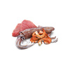 Farmina N&D Cat Ocean Tuna Squid & Shrimp 70g Mokra Karma Dla Kota Kalmar Tuńczyk Krewetka