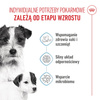 Royal Canin Mini Starter Mother & Babydog 8kg Karma Sucha Dla Suk W Ciąży I Okresie Laktacji Oraz Szczeniąt Ras Małych