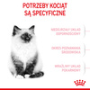 Royal Canin Fhn Kitten 10kg Karma Sucha Dla Kociąt +12x85g Mokra Karma w Sosie