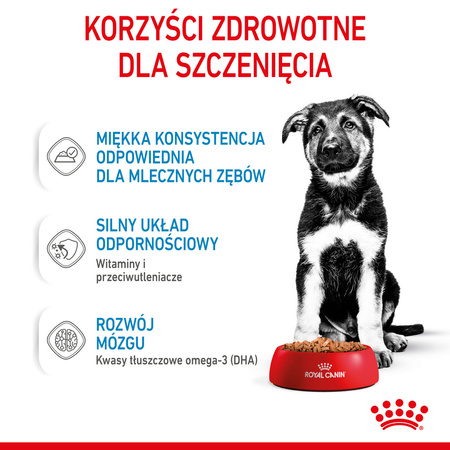 Royal Canin Maxi Puppy 10x140g Karma Mokra W Sosie Dla Szczeniąt Do 15 Miesiąca Życia Ras Dużych