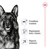 Royal Canin SHN Maxi Adult 5+ 15kg Karma Sucha Dla Psów Dojrzałych Od 5 Do 8 Roku Życia Ras Dużych