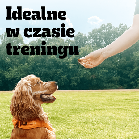 Pedigree Ranchos Cubes z Wołowiną 70g Treserki Przysmak Dla Psa