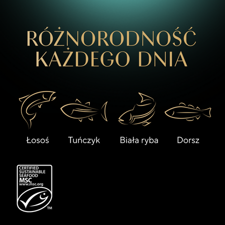 Sheba Delicacy Rybne Smaki w Galaretce 40x85g Mokra Karma Dla Kota