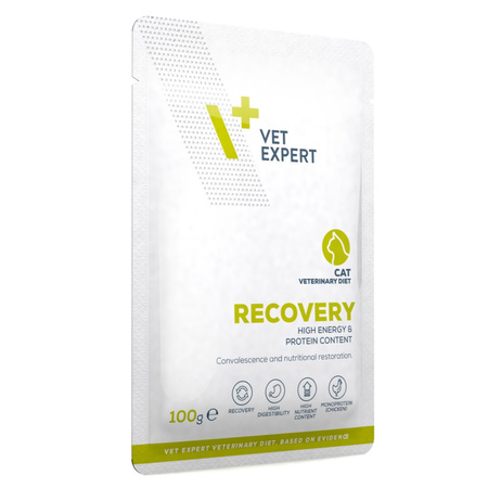 VetExpert Veterinary Diet Recovery Cat 100g Mokra Weterynaryjna Karma Dla Kotów w Okresie Rekonwalescencji